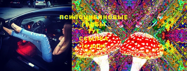 МДПВ Медвежьегорск