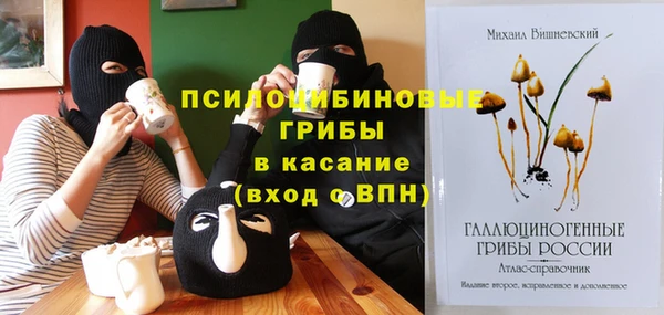 apvp Майский