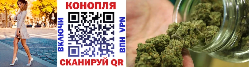 Конопля Bruce Banner  Купить закладки  Мураши 